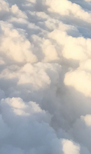 Skin barrier 101 – The basics for healthy skin